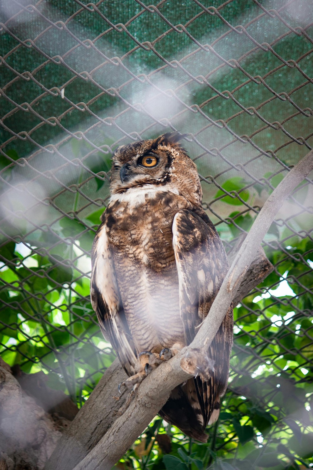 Delta Rivers Nature Center